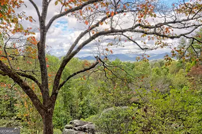 52 Lucky Lane, Rabun Gap, GA 30568 - Photo 5