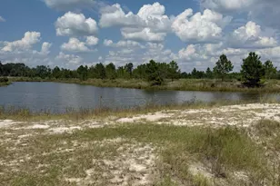 228 Zoarbella Dr, Baxley, GA 31513 - Photo 5