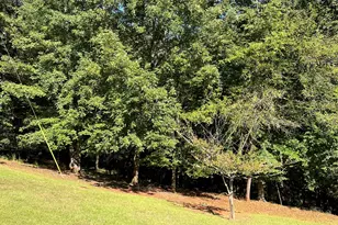 55 Green Oak Cir, Thomaston, GA 30286 - Photo 85