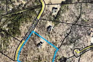 55 Green Oak Cir, Thomaston, GA 30286 - Photo 87