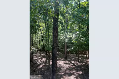 55 Green Oak Circle, Thomaston, GA 30286 - Photo 81