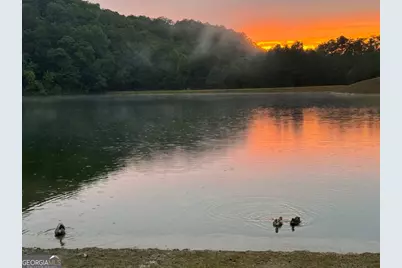 167 Jasmine Drive NE, Ranger, GA 30734 - Photo 43