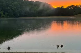 167 Jasmine Dr NE, Ranger, GA 30734 - Photo 43