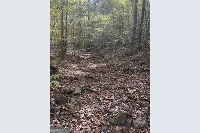 167 Jasmine Drive NE, Ranger, GA 30734 - Photo 33