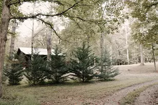 170 Ashley Dr, McCaysville, GA 30555 - Photo 9