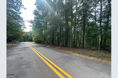 0 Teasley Trail, Moreland, GA 30259 - Photo 7