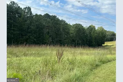 0 Teasley Trail, Moreland, GA 30259 - Photo 3