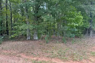 0 Teasley Trail, Moreland, GA 30259 - Photo 1