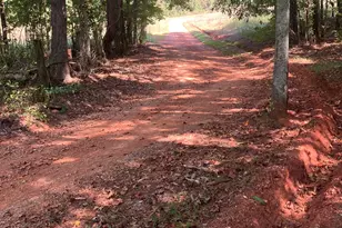 0 Teasley Trail, Moreland, GA 30259 - Photo 1