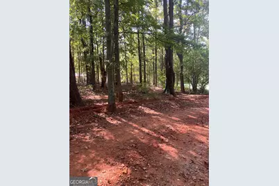 0 Teasley Trail, Moreland, GA 30259 - Photo 5