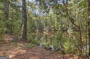 694 Overstreet Rd, Jesup, GA 31546 - Photo 21