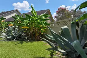 203 Willow Glen Dr, Blakely, GA 39823 - Photo 45