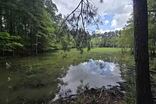 3599 Ga Hwy 127, Mauk, GA 31058 - Photo 11