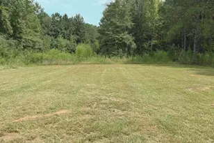 333 Ike Williams Rd, Gay, GA 30218 - Photo 7