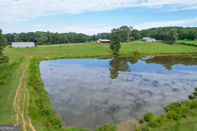 60 +/- Acres At 295 J Davis Road, Tallapoosa, GA 30176 - Photo 5