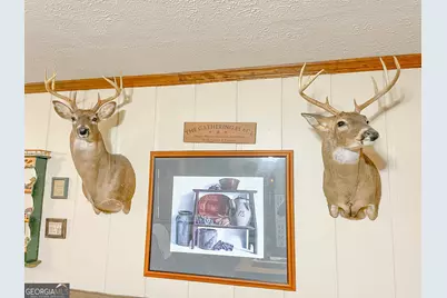 60 +/- Acres At 295 J Davis Road, Tallapoosa, GA 30176 - Photo 19