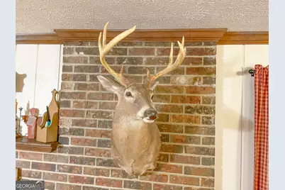 60 +/- Acres At 295 J Davis Road, Tallapoosa, GA 30176 - Photo 21