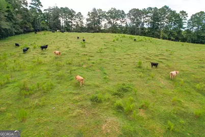 60 +/- Acres At 295 J Davis Road, Tallapoosa, GA 30176 - Photo 3
