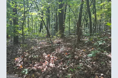 0 Wauka Mountain Terrace, Clermont, GA 30527 - Photo 7