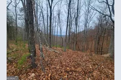 1005 Mayfield Lane NE, Ranger, GA 30734 - Photo 7