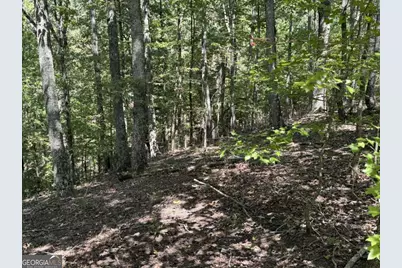 1005 Mayfield Lane NE, Ranger, GA 30734 - Photo 19