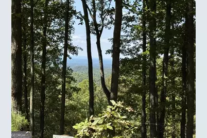 1005 Mayfield Lane NE, Ranger, GA 30734 - Photo 3