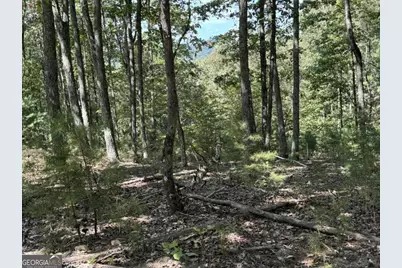 1005 Mayfield Lane NE, Ranger, GA 30734 - Photo 13