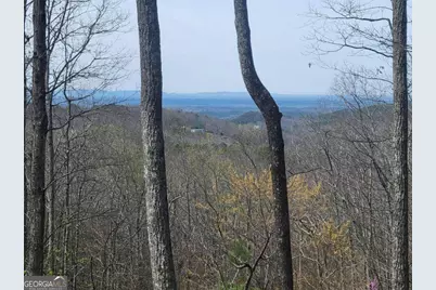 1005 Mayfield Lane NE, Ranger, GA 30734 - Photo 5