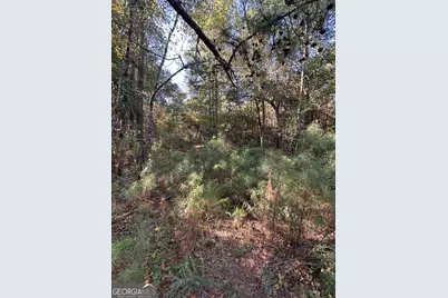 0 US Highway 280, Richland, GA 31825 - Photo 9