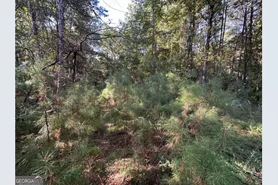 0 US Highway 280, Richland, GA 31825 - Photo 7