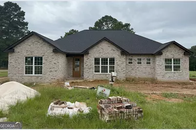 45 River Ridge Drive, Hawkinsville, GA 31036 - Photo 1