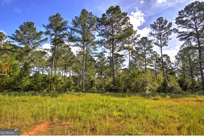127 Hillside Lane #LT 25, Ellijay, GA 30540 - Photo 7
