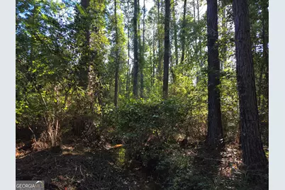 0 Walden Way, Adrian, GA 31002 - Photo 1