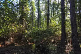 0 Walden Way, Adrian, GA 31002 - Photo 1