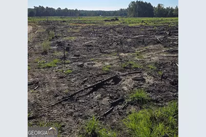 0 Walden Way, Adrian, GA 31002 - Photo 7