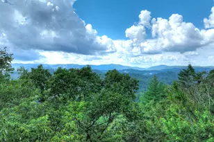 1362 Cherry Log St, Cherrylog, GA 30522 - Photo 43