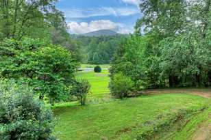 1362 Cherry Log St, Cherrylog, GA 30522 - Photo 29