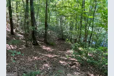 4 Maxwell Mountain Road, Ellijay, GA 30540 - Photo 11