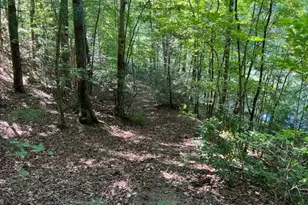 4 Maxwell Mountain Road, Ellijay, GA 30540 - Photo 11