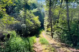 4 Maxwell Mountain Road, Ellijay, GA 30540 - Photo 7