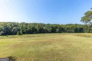 1540 Flint Hl Hwy, Shiloh, GA 31826 - Photo 45