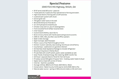 1540 Flint Hill Highway, Shiloh, GA 31826 - Photo 11