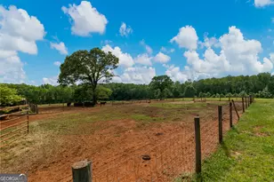 1540 Flint Hl Hwy, Shiloh, GA 31826 - Photo 59