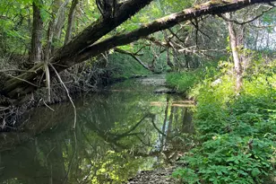 6012 S 341 Hwy, Chickamauga, GA 30707 - Photo 41