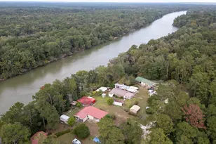 163 High Bluff Rd, Baxley, GA 31513 - Photo 41