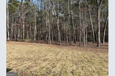 Lot 196 Northshore At Redwine Drive, Newnan, GA 30263 - Photo 31