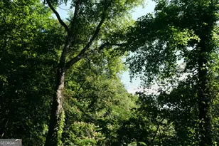 177 Antler Dr, Thomaston, GA 30286 - Photo 99