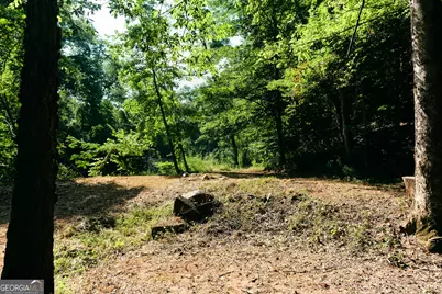 177 Antler Drive, Thomaston, GA 30286 - Photo 97