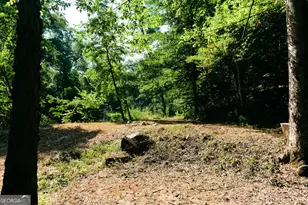 177 Antler Dr, Thomaston, GA 30286 - Photo 97