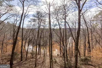 177 Antler Drive, Thomaston, GA 30286 - Photo 79